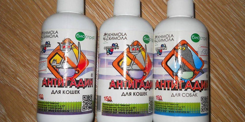 Собака и газон