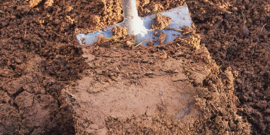 Газон на глинистой почве