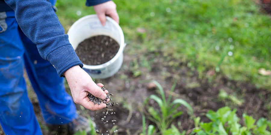 Как подготовить почву под газон