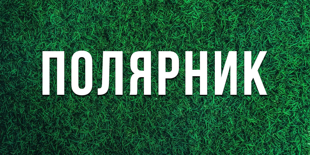Лучшие неприхотливые газоны