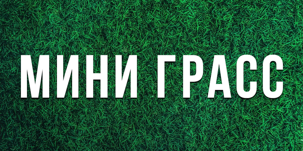 Лучшие низкорослые газоны