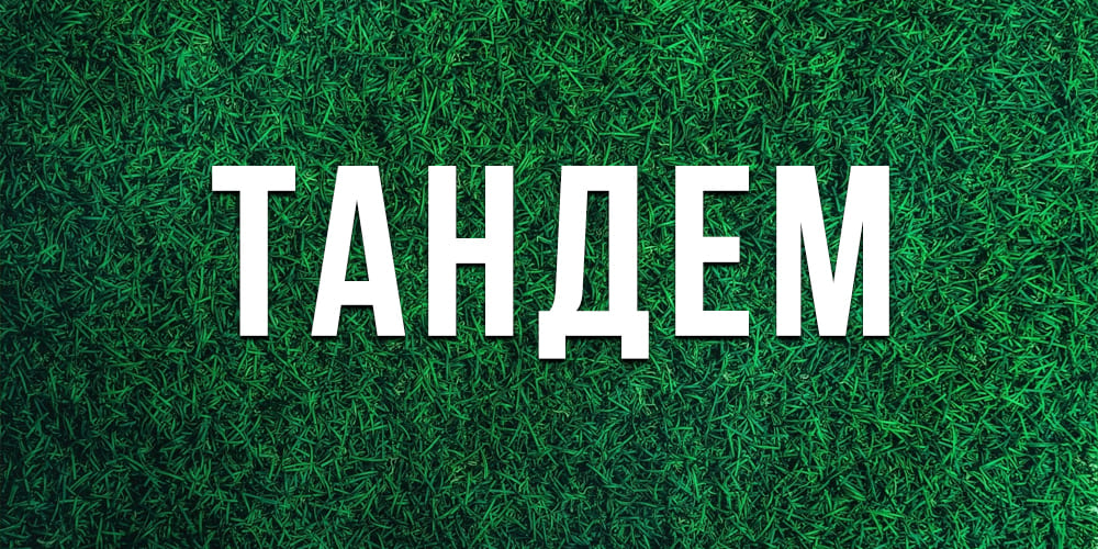 Лучшие низкорослые газоны