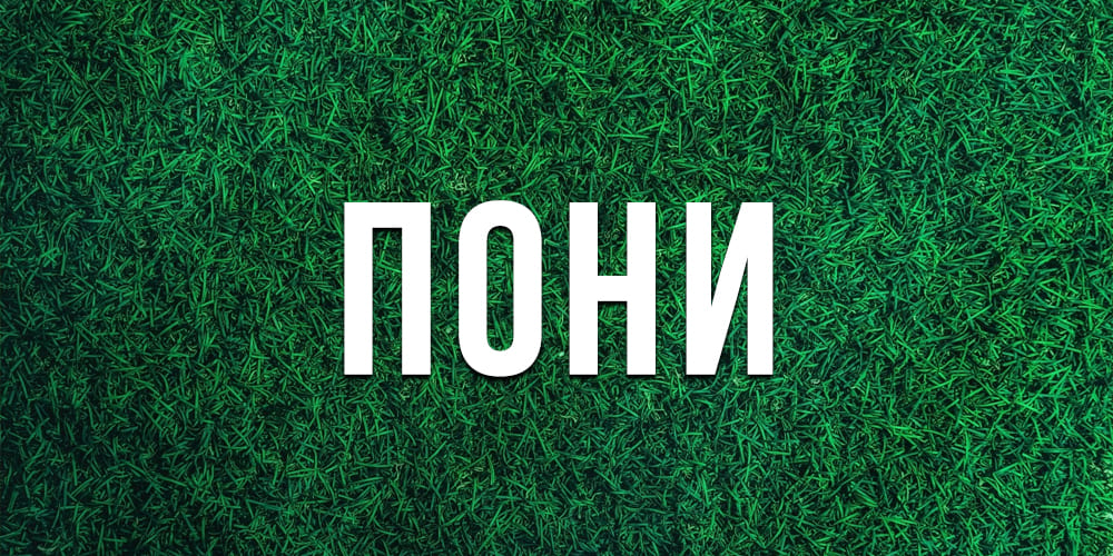 Лучшие низкорослые газоны