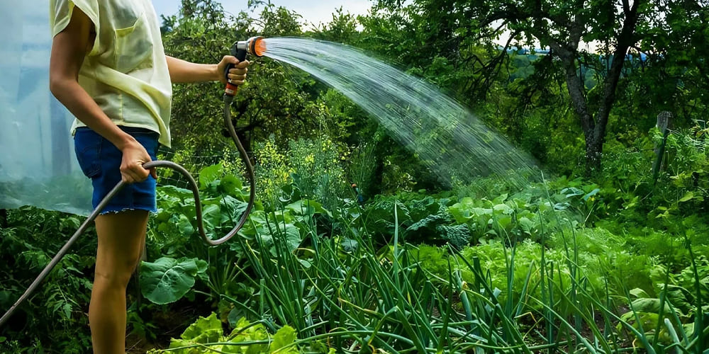 Водорастворимые минеральные удобрения