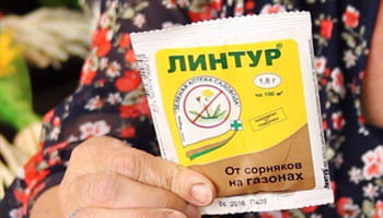 Линтур – гербицид от сорняков на газонах: состав, инструкция по применению