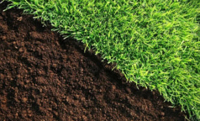 Грунт для газона – на какой почве лучше всего растет газонное покрытие?