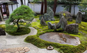 Японский сад — островок умиротворенности на вашем участке
