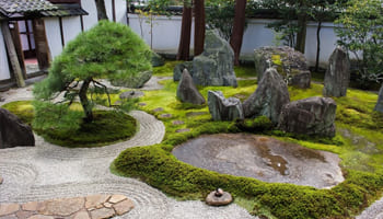 Японский сад камней: принципы создания и идеи дзен сада