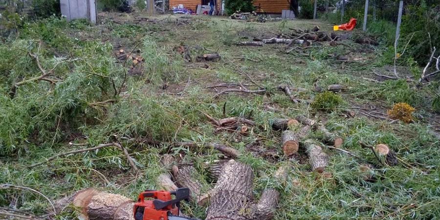 РАСЧИСТКА ЗАРОСШЕГО УЧАСТКА