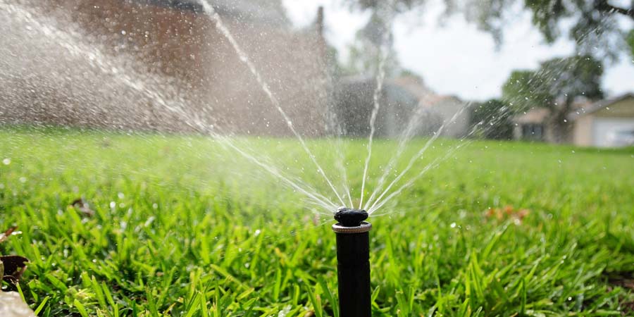 ПОЛИВ МАВРИТАНСКОГО ГАЗОНА