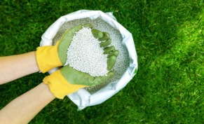 Секрет идеального газона: всё, что нужно знать об удобрениях