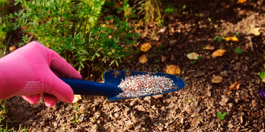 ГАЗОННЫЕ УДОБРЕНИЯ