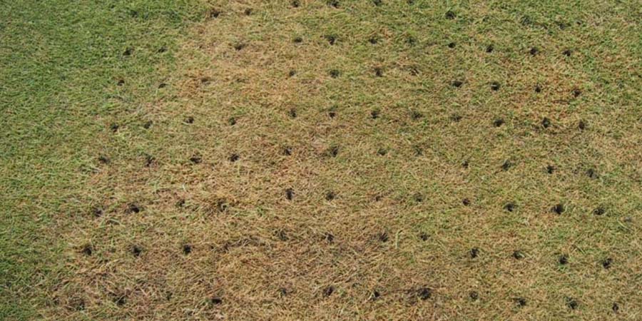 АЭРАЦИЯ ПОЧВЫ