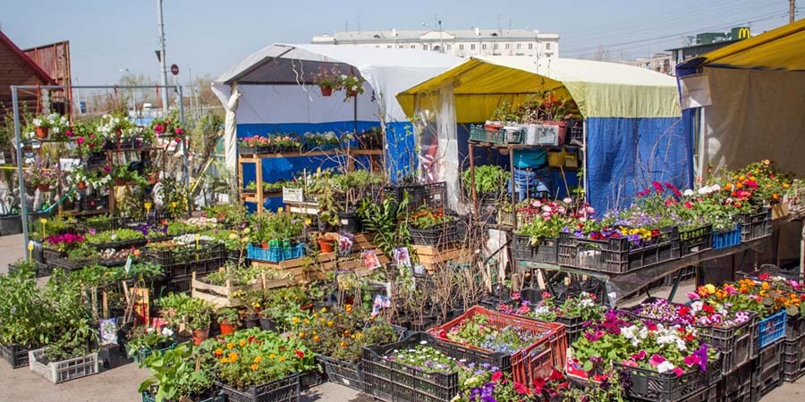 ЦВЕТОЧНЫЙ РЫНОК