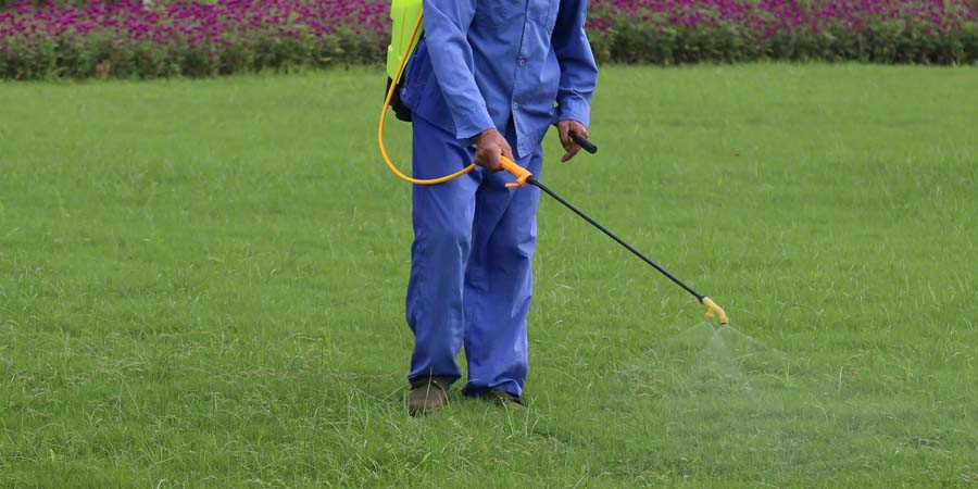 ОБРАБОТКА ГАЗОНА ФУНГИЦИДАМИ