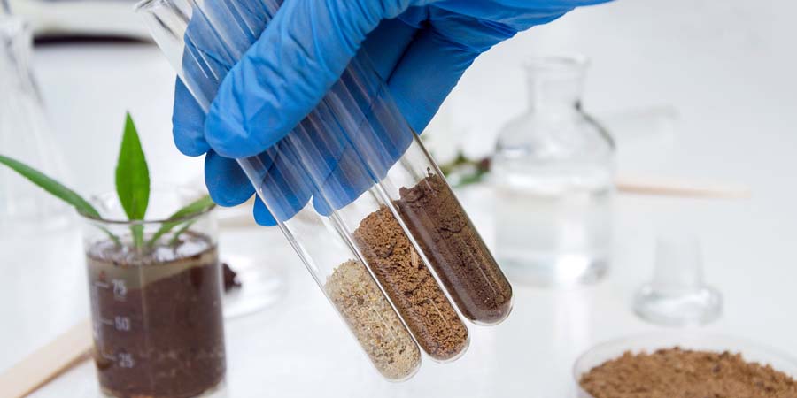 ЛАБОРАТОРНЫЙ АНАЛИЗ ПОЧВЫ