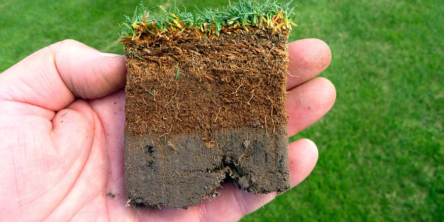 КАРТИНКА ПОЧВЫ НА ГАЗОНЕ