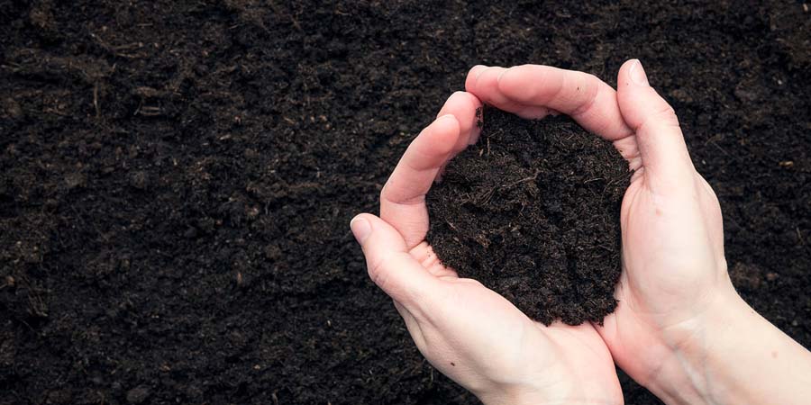 КАРТИНКА ПОЧВА В РУКЕ