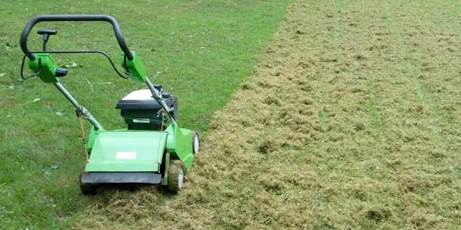 СКАРИФИКАЦИЯ ГАЗОНА