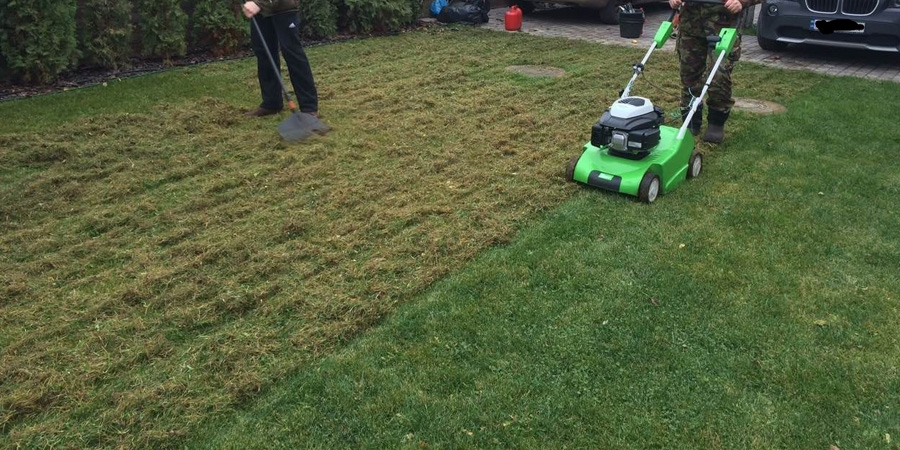 СКАРИФИКАЦИЯ ГАЗОНА