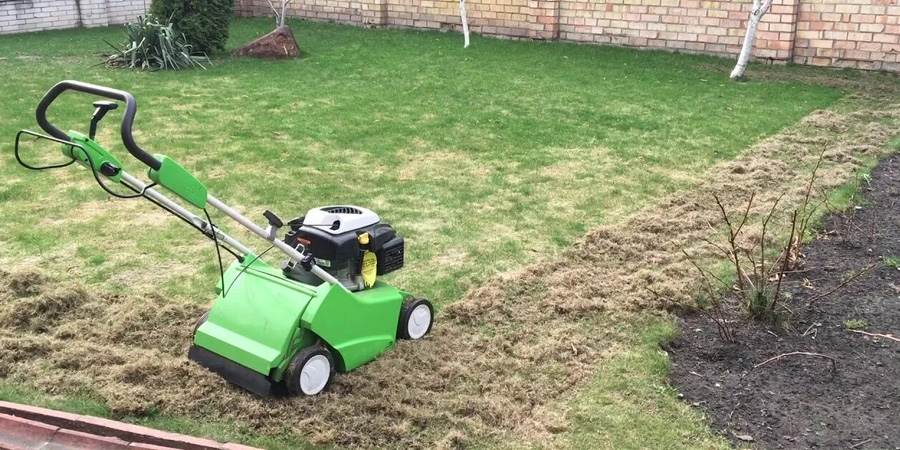 СКАРИФИКАЦИЯ ГАЗОНА