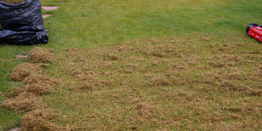 СКАРИФИКАЦИЯ ГАЗОНА