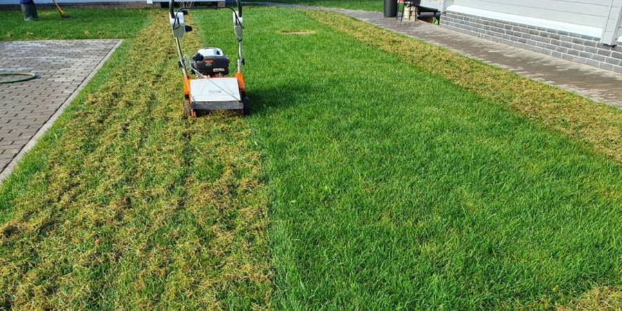 СКАРИФИКАЦИЯ ГАЗОНА