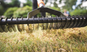 Скарификация газона: полное руководство по оздоровлению вашего травяного покрова