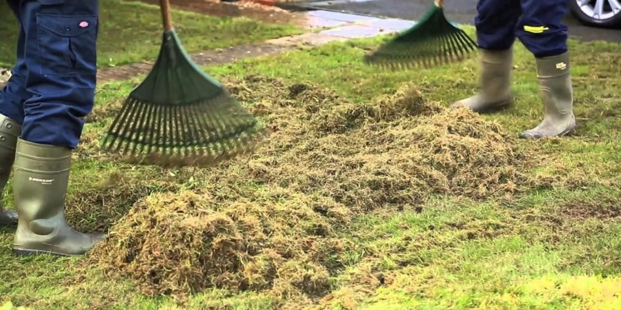 ВОЙЛОК НА ГАЗОНЕ