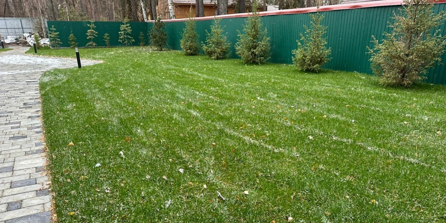 ГАЗОН ПОСЛЕ ЗИМЫ