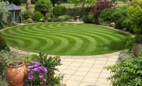 Зеленое наследие: как газон из аристократической прихоти стал символом цивилизации