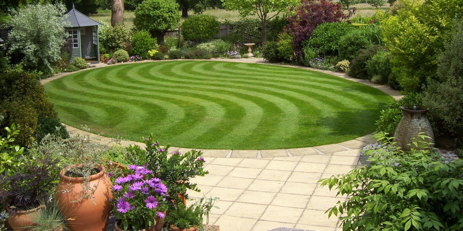 ГАЗОНА В САДУ