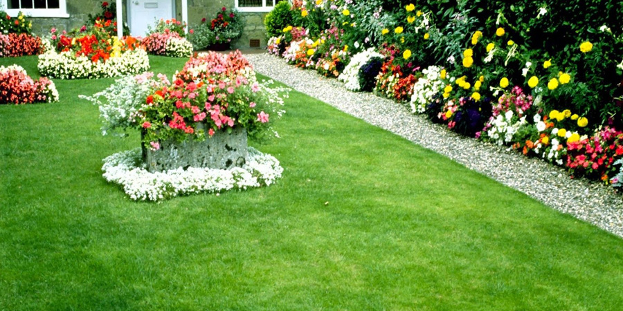 ГАЗОНА В САДУ