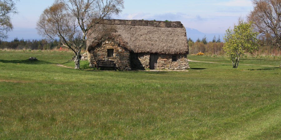 ГАЗОН В СРЕДНЕВЕКОВОЙ ЕВРОПЕ