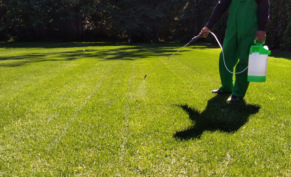 Баковые смеси: искусство и наука правильного смешивания пестицидов и биопрепаратов