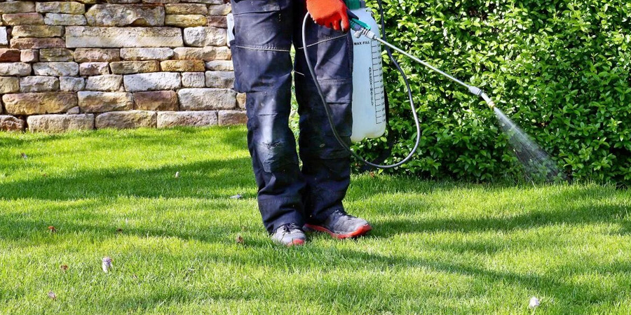 ОБРАБОТКА ГАЗОНА ФУНГИЦИДАМИ