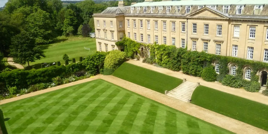 ПАРТЕРНЫЙ ГАЗОН