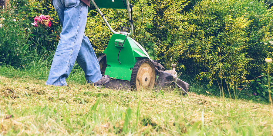 ПОСЛЕДНЯЯ СТРИЖКА ГАЗОНА ОСЕНЬЮ