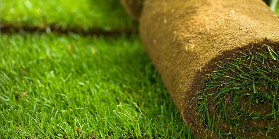 РУЛОННЫЙ ГАЗОН