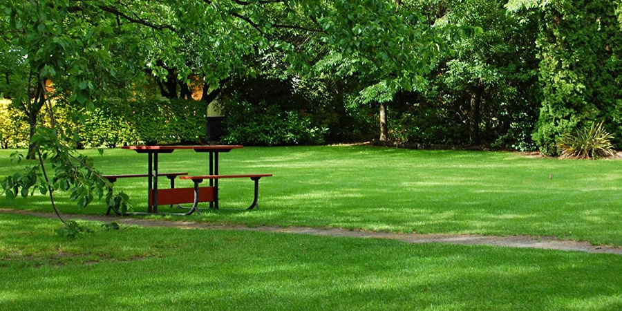 САДОВО-ПАРКОВЫЙ ГАЗОН