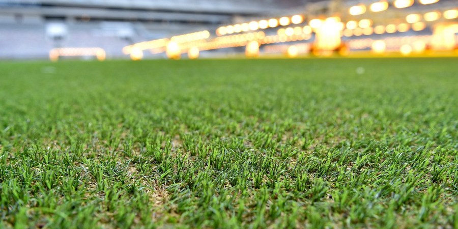 СПОРТИВНЫЙ ГАЗОН