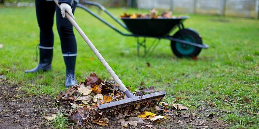 УБОРКА ЛИСТЬЕВ С ГАЗОНА ОСЕНЬЮ
