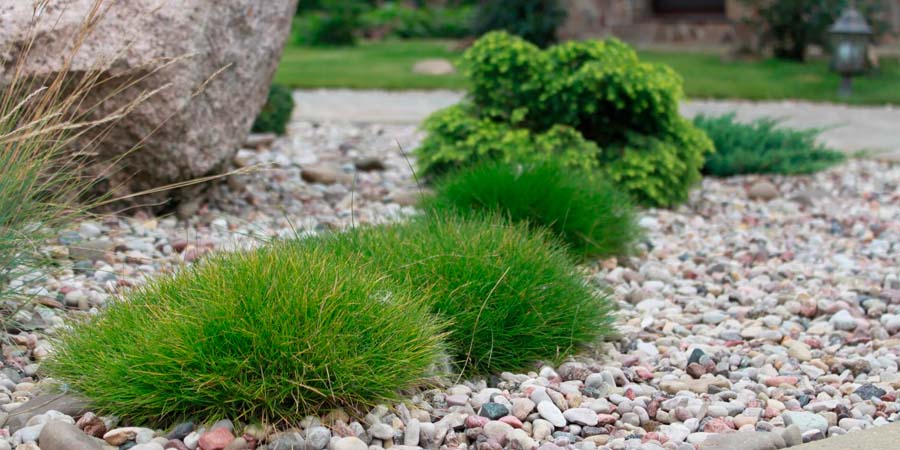 ГРАВИЙНЫЕ МИКСБОРДЕРЫ