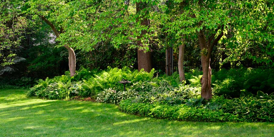 НАТУРАЛИСТИЧЕСКИЙ САД