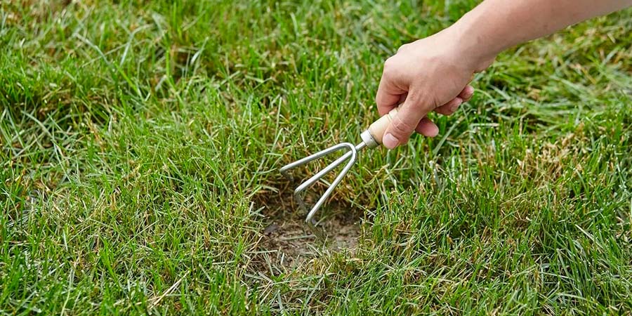 ПОДСЕВ ТРАВЫ ГАЗОНА