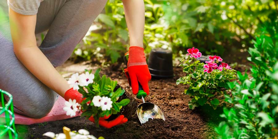 ПОСАДКА ЦВЕТОВ В САДУ
