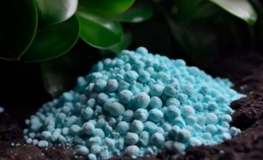 Удобрения для газона