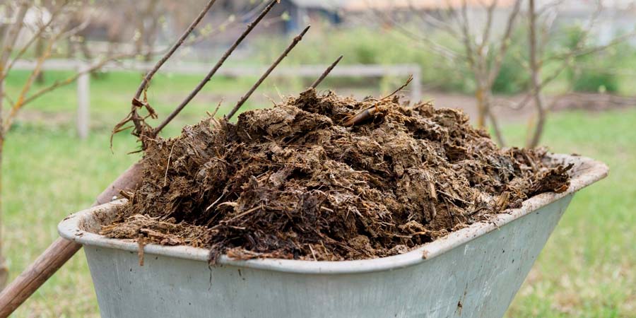 УДОБРЕНИЕ ПОЧВЫ НАВОЗОМ