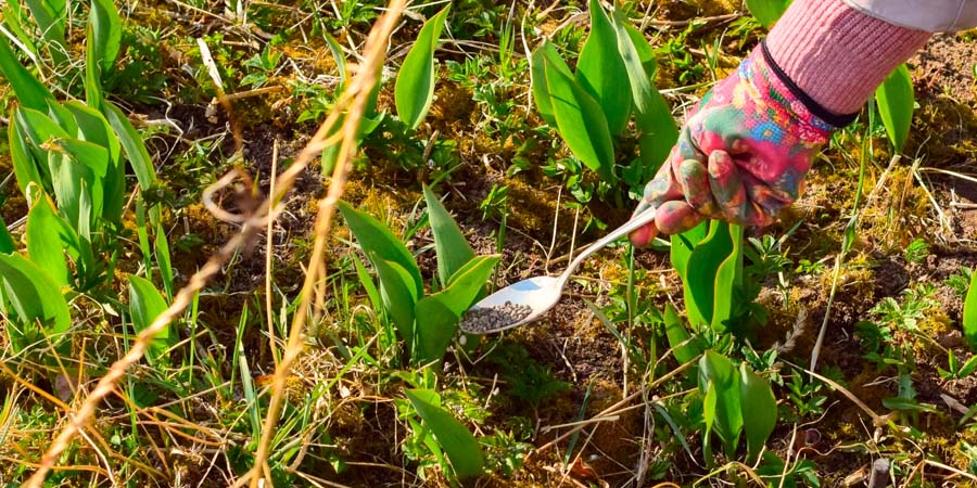 ВНЕСЕНИЕ УДОБРЕНИЙ ВЕСНОЙ