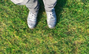 Как защитить газон от вытаптывания: сохраняем идеальный зеленый ковер